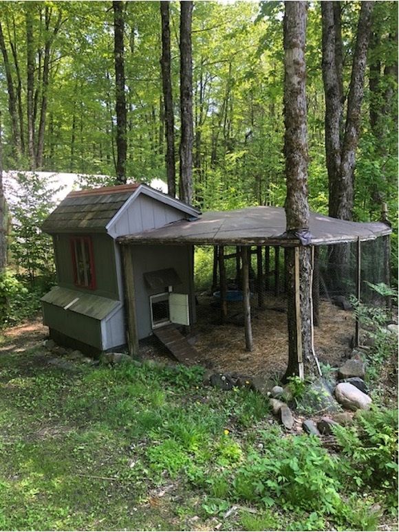Chicken coop and enclosed run